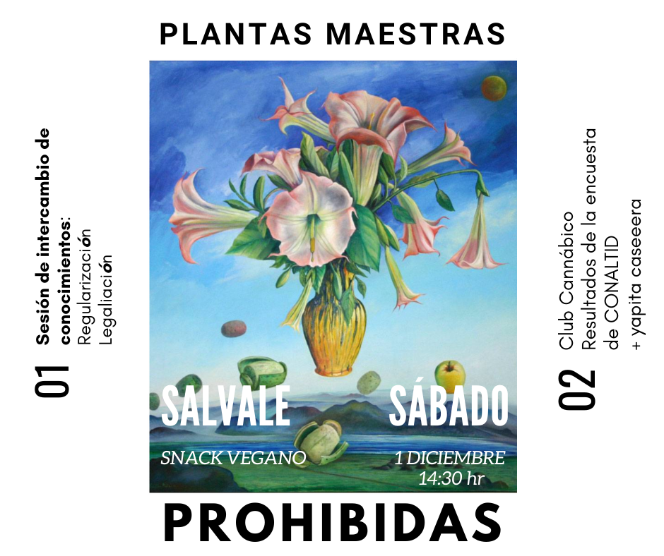 PlantasProhibidasBolivia